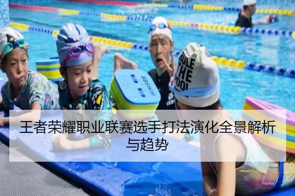王者荣耀职业联赛选手打法演化全景解析与趋势
